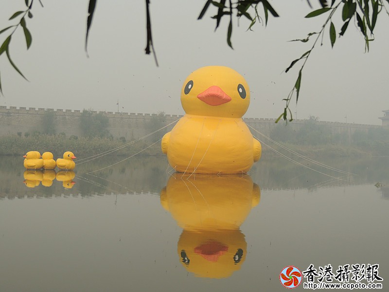 DSCN6847_副本.jpg