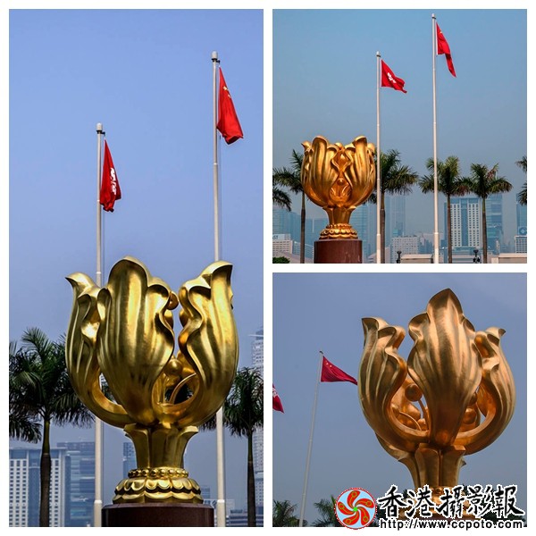 NeoImage_副本.jpg