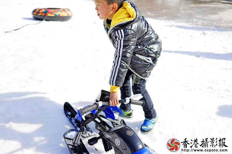 雪地上的玩耍1..jpg