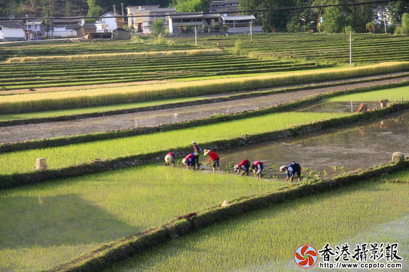 _MG_1410_副本.jpg