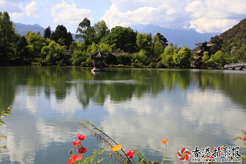_MG_2008_副本.jpg