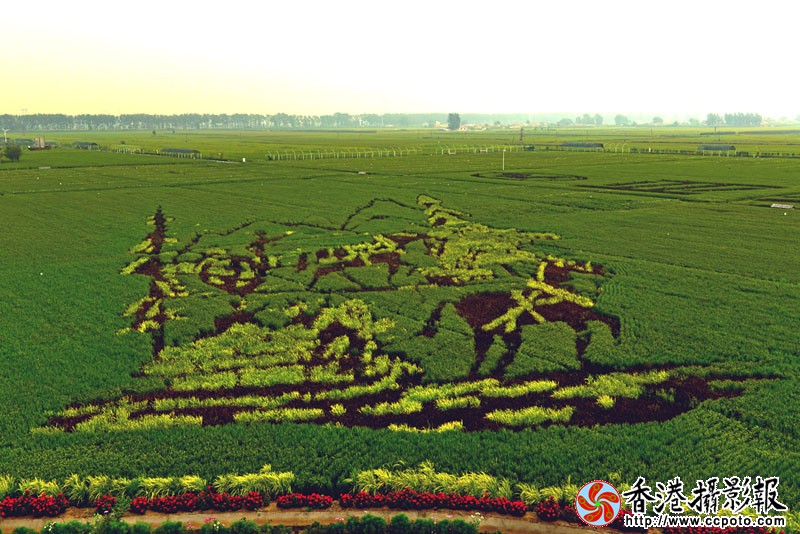 DSC_5067马拉爬犁比车快.jpg