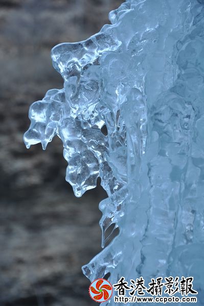 DSC_0364_副本.jpg