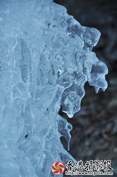 DSC_0370_副本.jpg