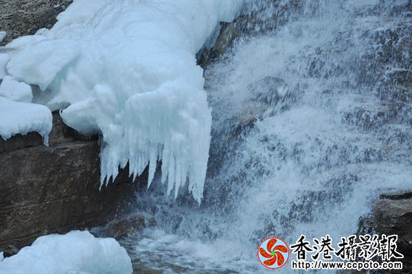 DSC_0385_副本.jpg