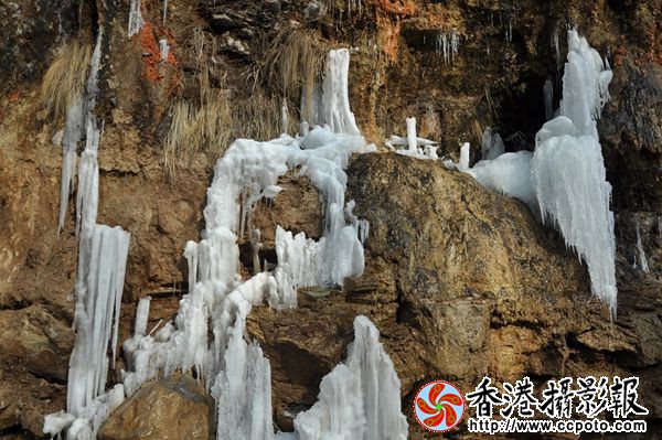 DSC_0395_副本.jpg