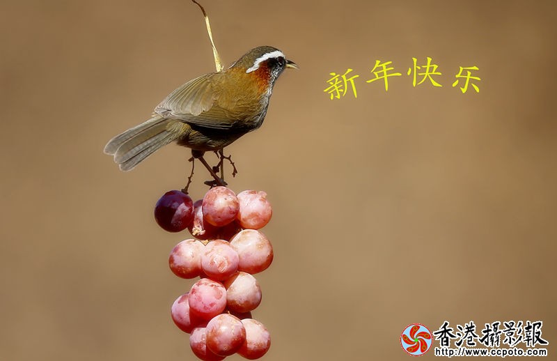 H46R0437_副本.jpg