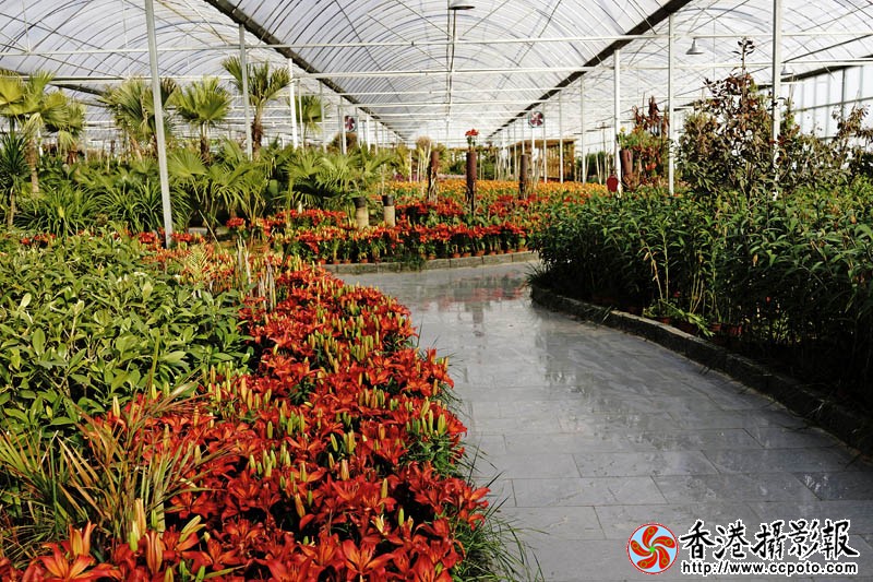 临沂国际花木城采风1..jpg