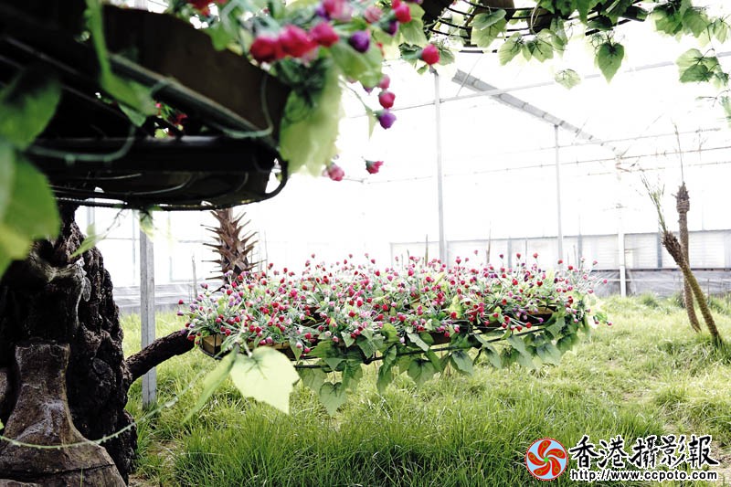 临沂国际花木城采风12..jpg