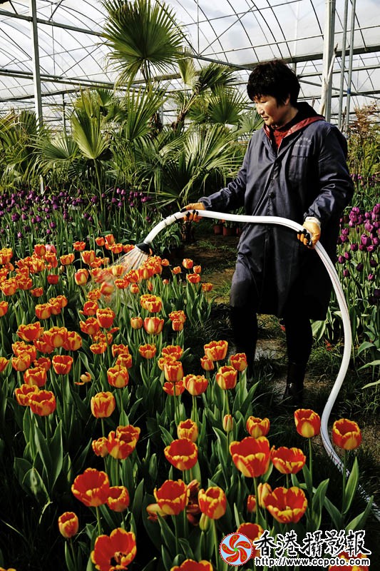 临沂国际花木城采风21..jpg