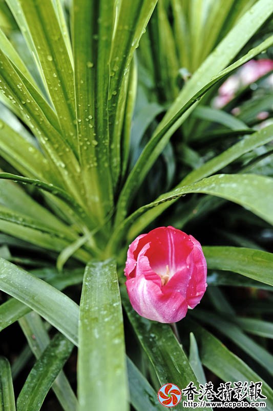 临沂国际花木城采风28..jpg