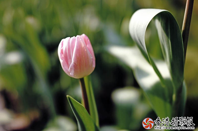 临沂国际花木城采风37..jpg