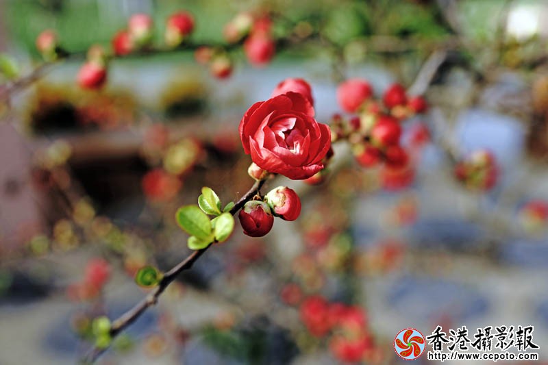临沂国际花木城采风46..jpg