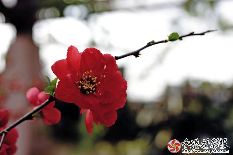 临沂国际花木城采风47..jpg