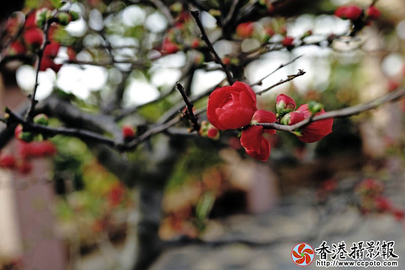 临沂国际花木城采风52..jpg