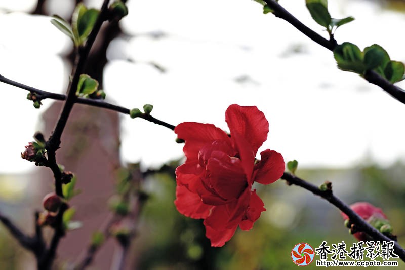 临沂国际花木城采风51..jpg