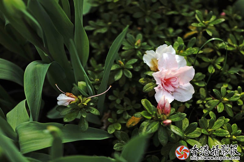 临沂国际花木城采风54..jpg