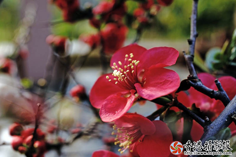 临沂国际花木城采风53..jpg