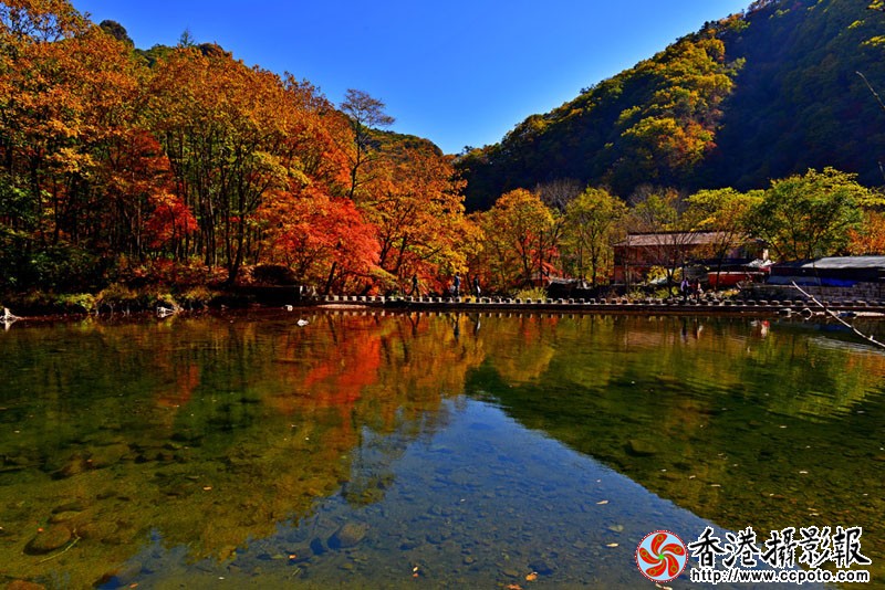 DSC秋韵_1096副本.jpg