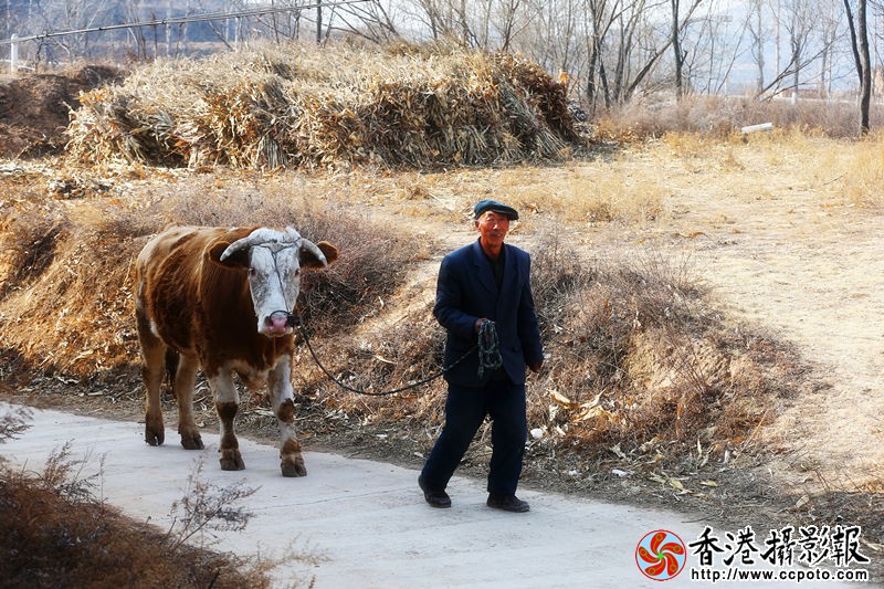 H46R9867_副本.jpg
