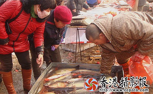 DSC09868_看图王_副本_副本.jpg
