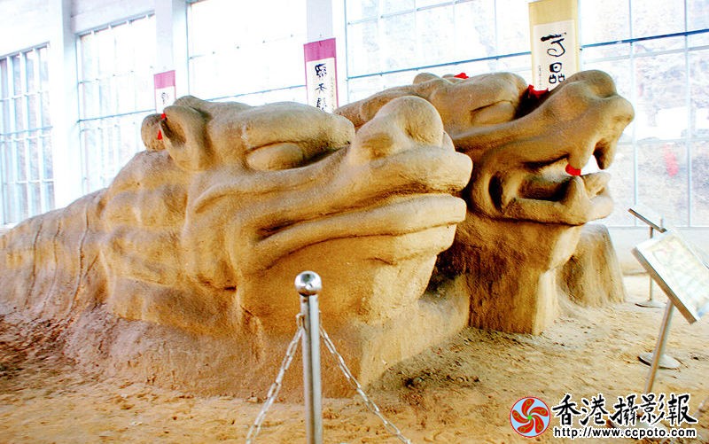 DSC00213_副本_副本.jpg