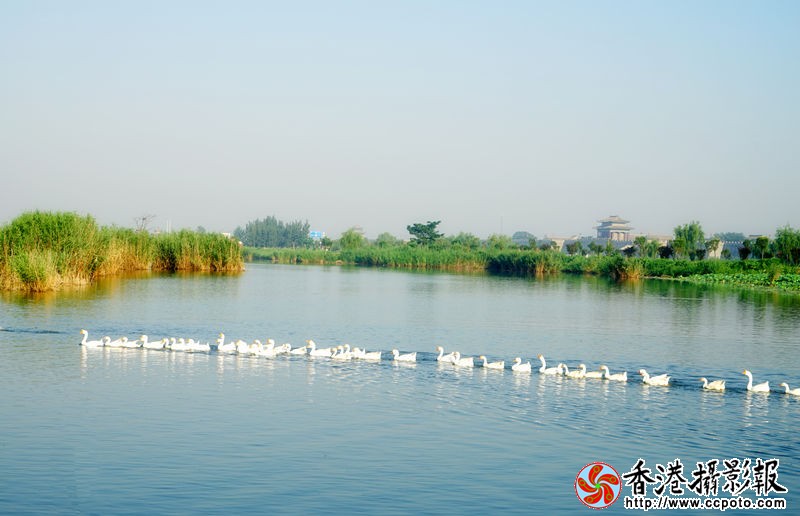 DSC00720_副本.jpg
