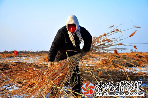DSC_0333_看图王_看图王_副本.jpg