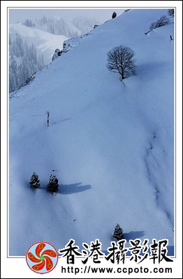 天山雪韵
