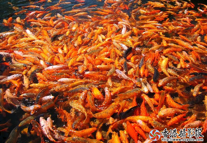 IMG_0010副本.jpg