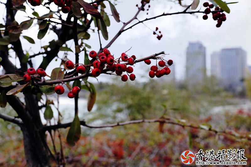 一往情深7..jpg