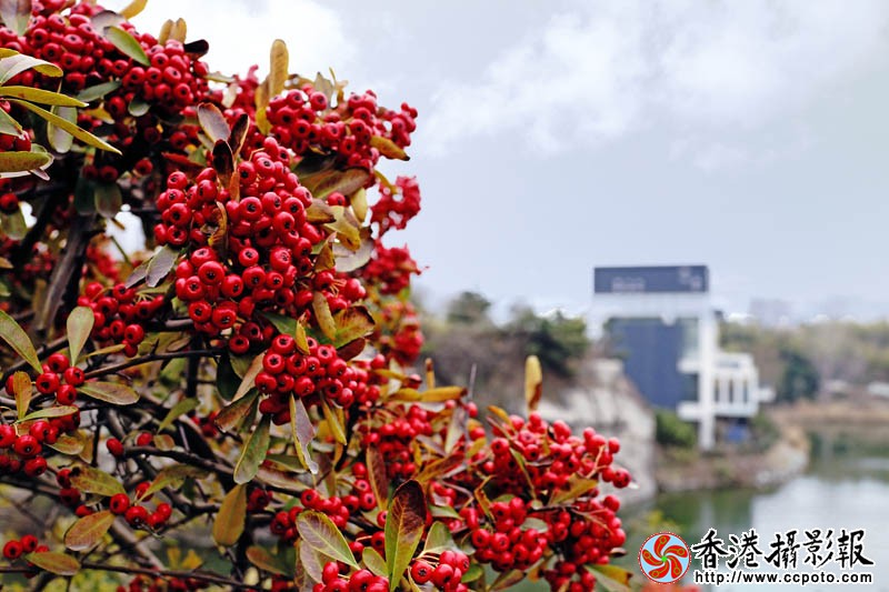 一往情深11..jpg
