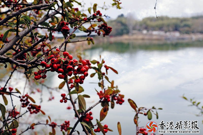一往情深14..jpg