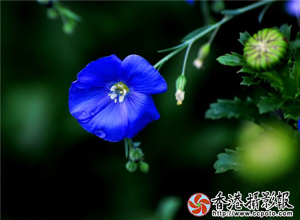 DSC_0244_副本.jpg