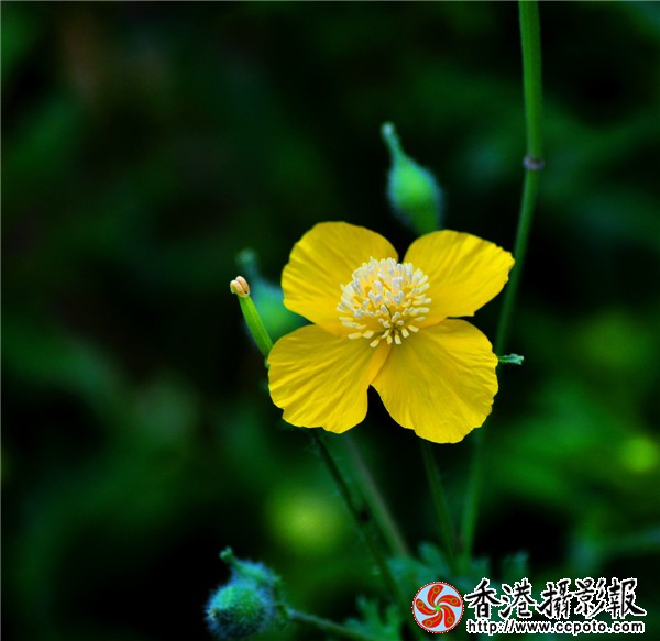DSC_0229_副本.jpg
