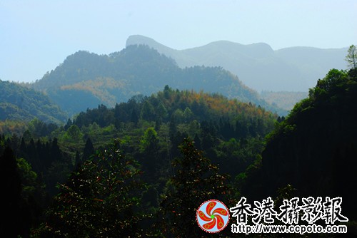12a_副本.jpg