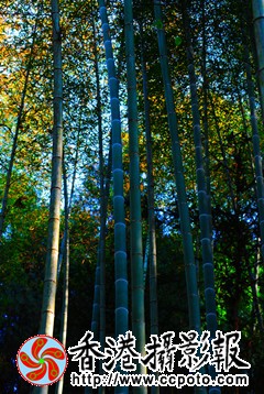14a_副本.jpg