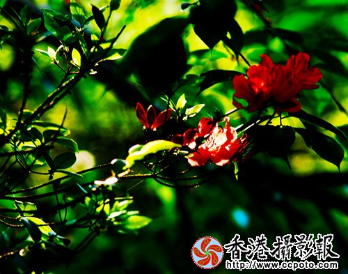 16a_副本.jpg