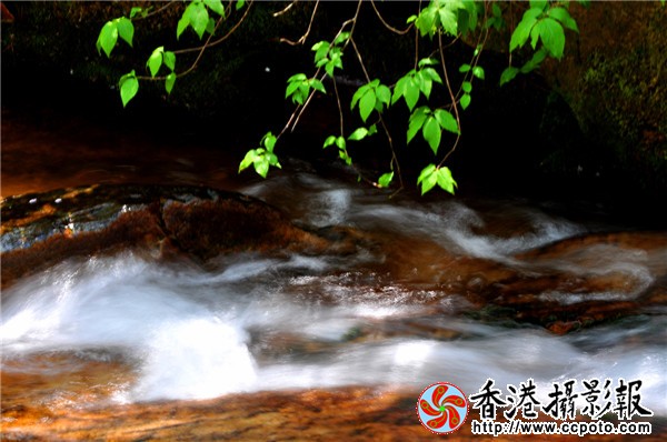 DSC_0401_副本.jpg