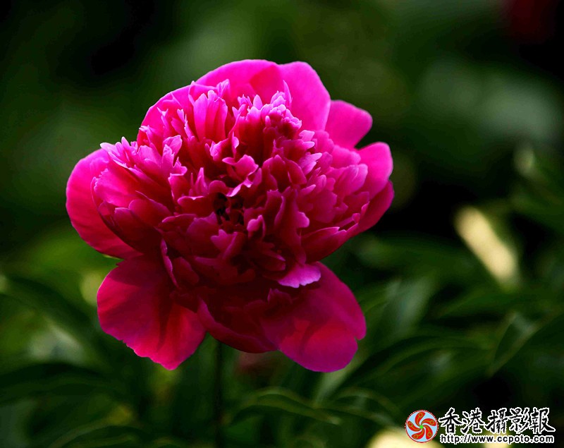IMG_9448_副本_副本.jpg