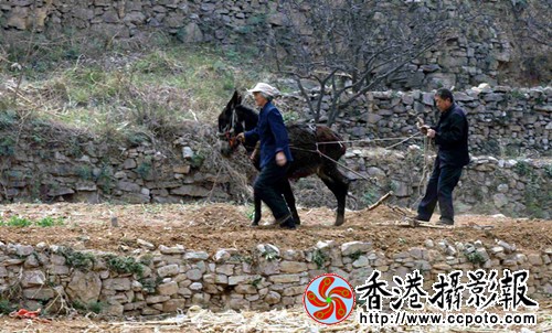 IMG_3844_副本.jpg