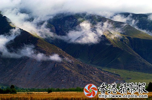 DSC_0495_副本_副本.jpg