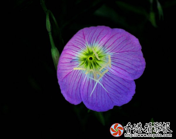 DSC_0730_副本.jpg
