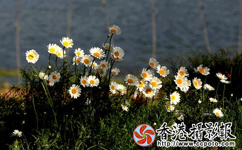 IMG_9567_副本.jpg