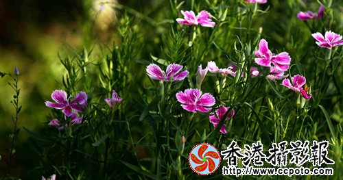 IMG_9580_副本.jpg