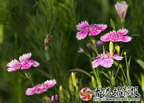 IMG_9570_副本.jpg