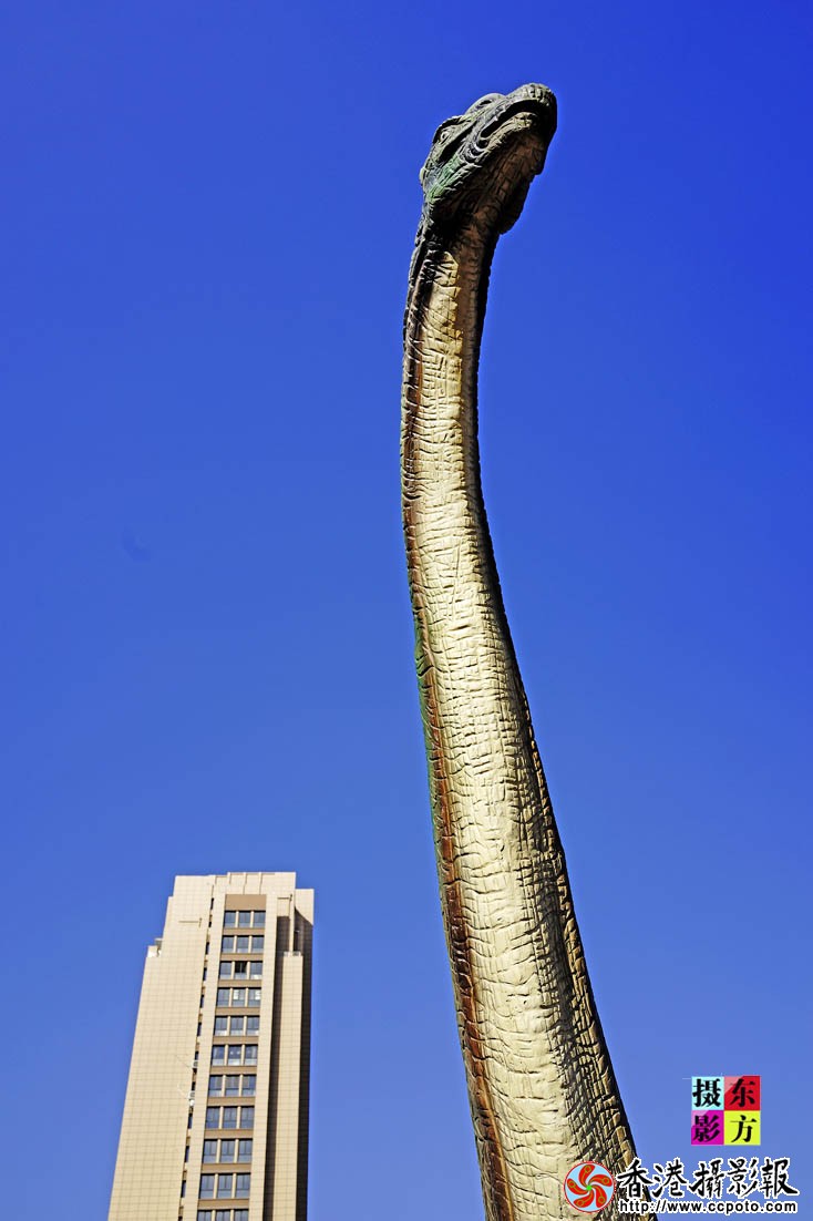 临沂城建随拍4.JPG