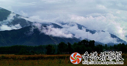 DSC_0497_副本_副本.jpg