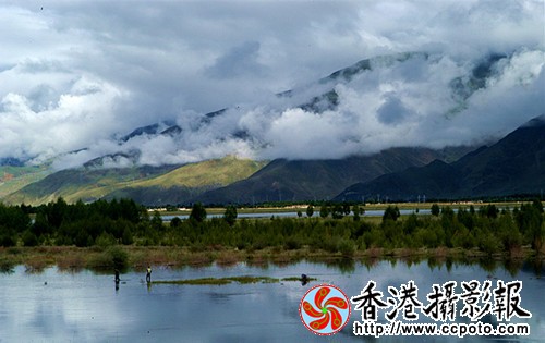 DSC_0541_副本_副本.jpg