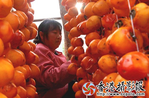 IMG_0356_副本.jpg